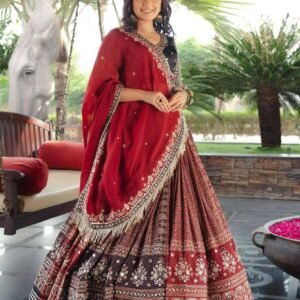 Women-Navratri-Spacial-Gown