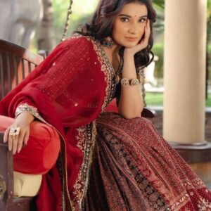 Women-Navratri-Spacial-Gown