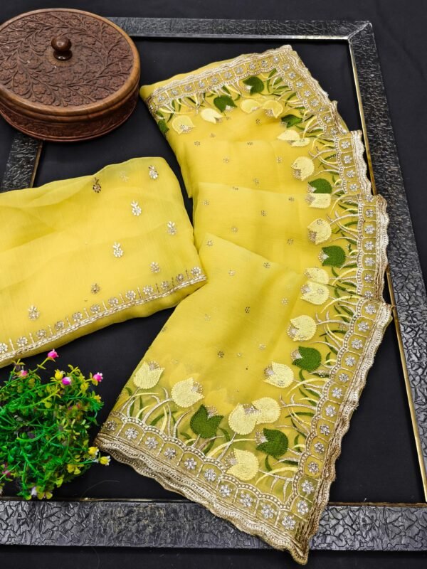 Shifan Saree with Jarkan Work